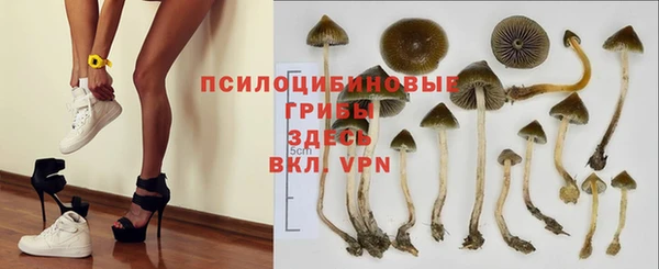 таблы Вяземский