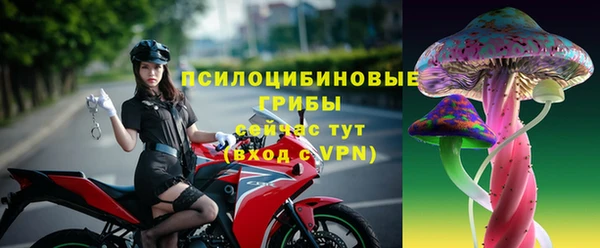 таблы Вяземский