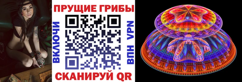 mega как зайти  Первомайск  Псилоцибиновые грибы мицелий 